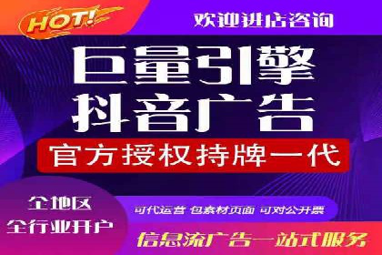成功运用SEM技术提升网站流量的案例研究